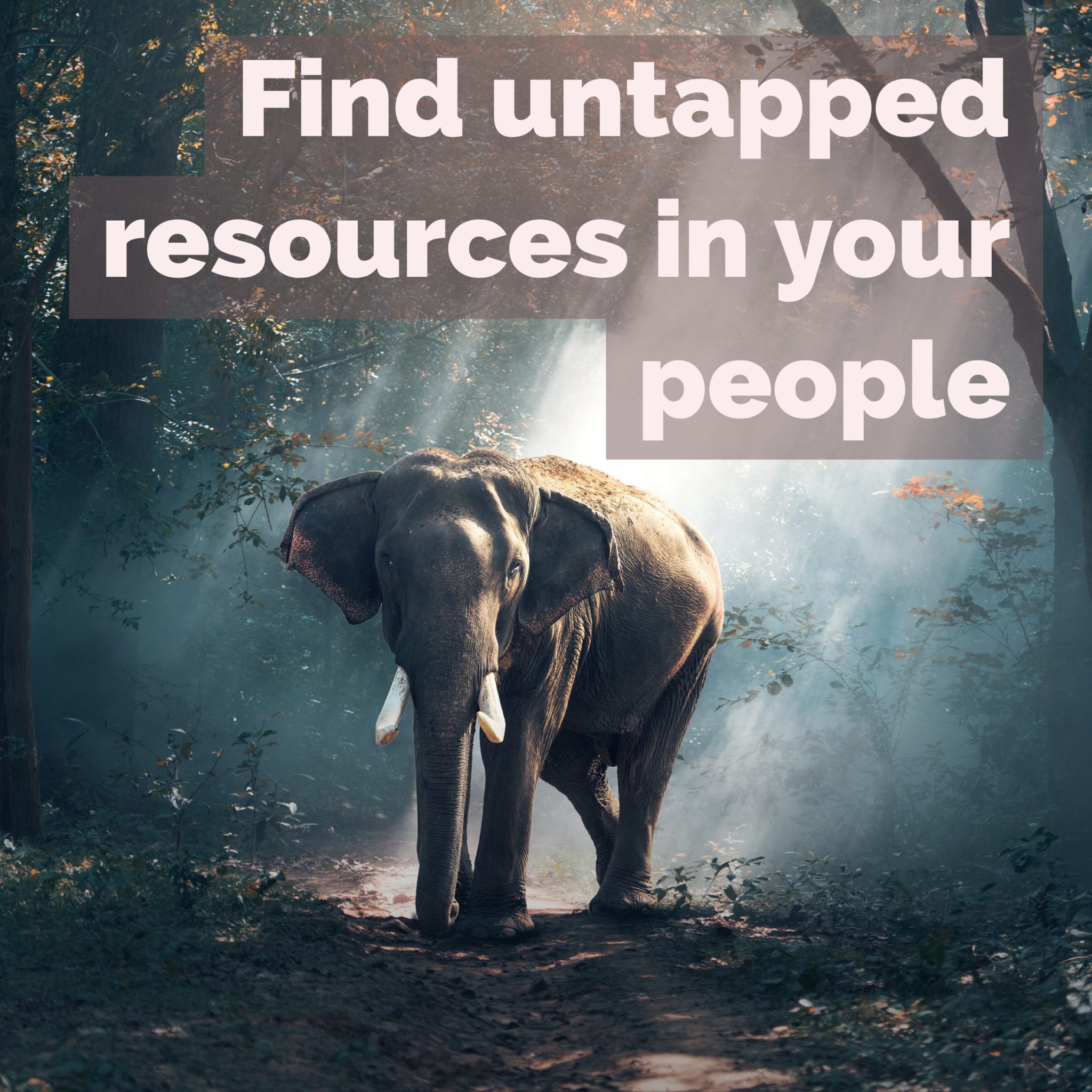 Connie Hamilton talking about resources