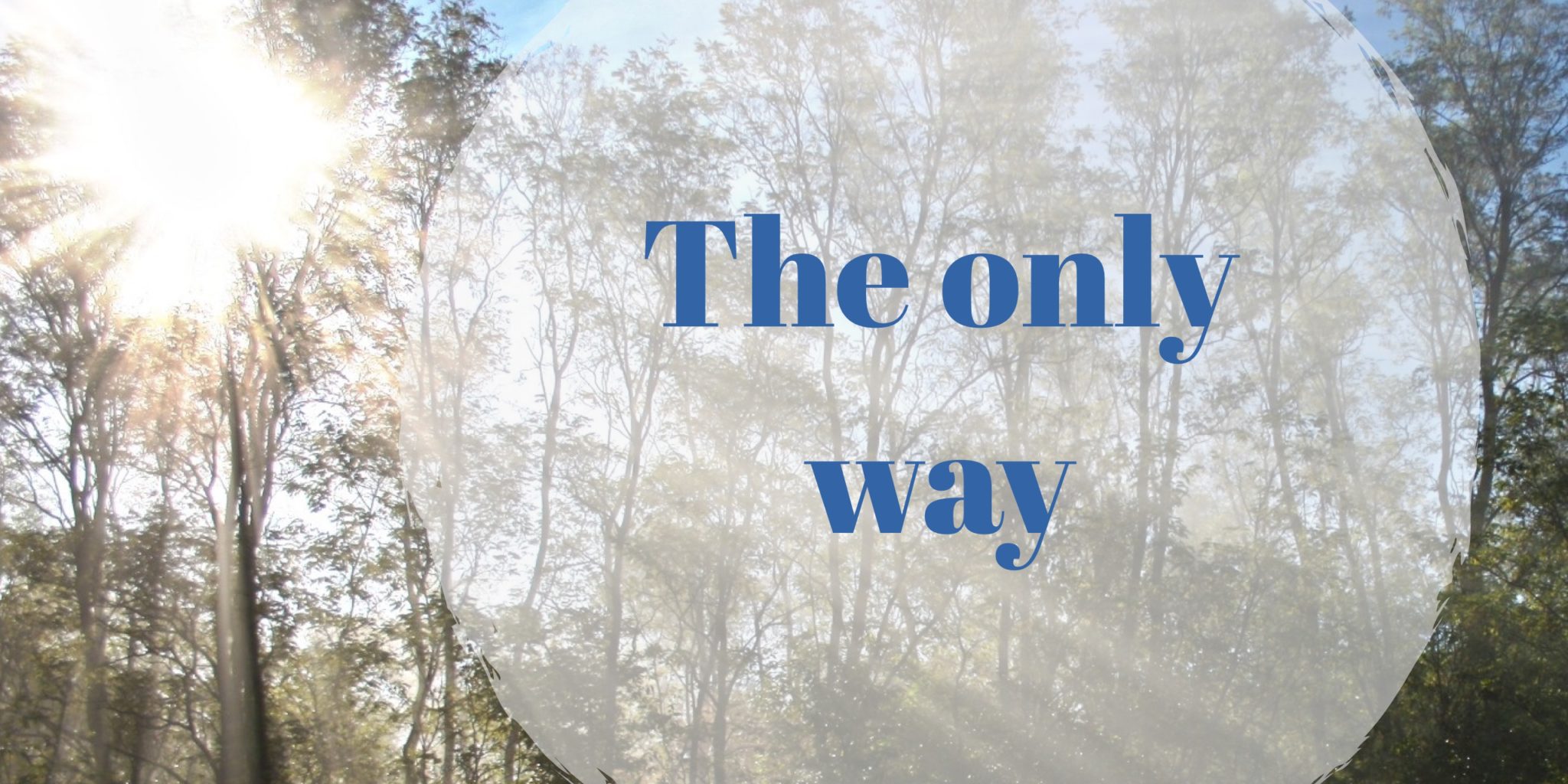 How Lucy West introduces new initiatives
