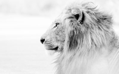 Leading in tough times