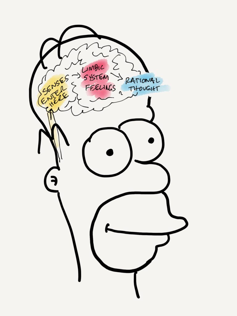 Homer Emotional Intelligence