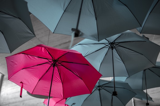 Pink umbrella