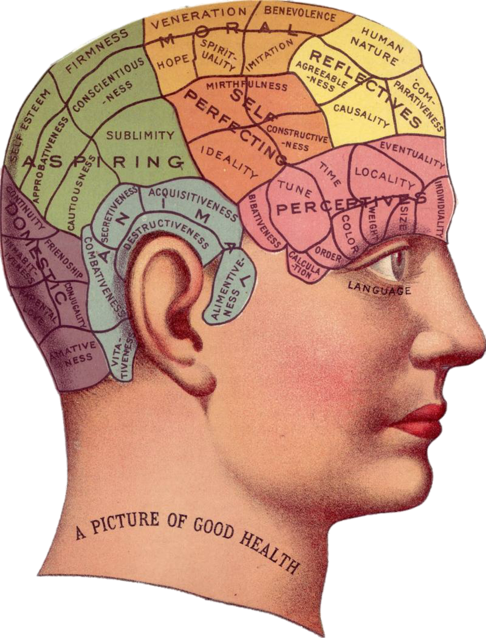 5 MENTAL SHIFTS THAT HIGHLY EFFECTIVE SCHOOL LEADERS MAKE